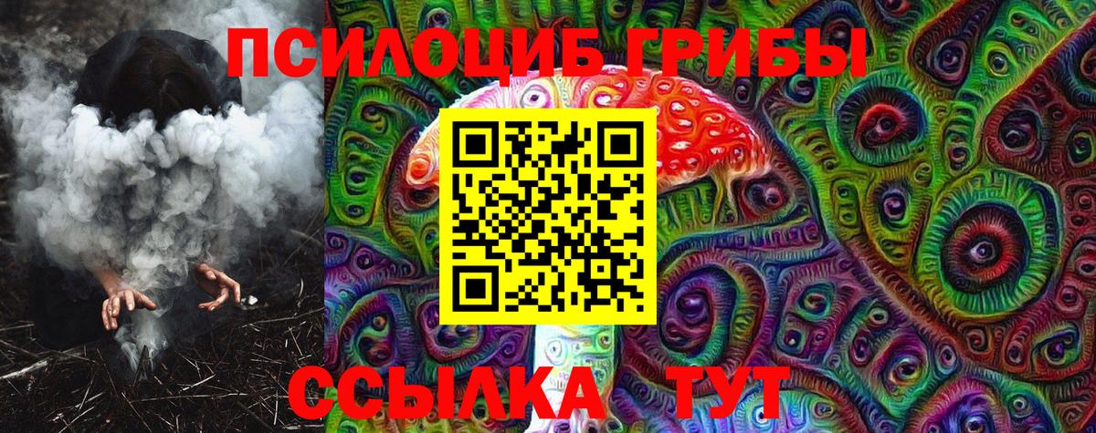 Псилоцибиновые грибы Нефтекумск