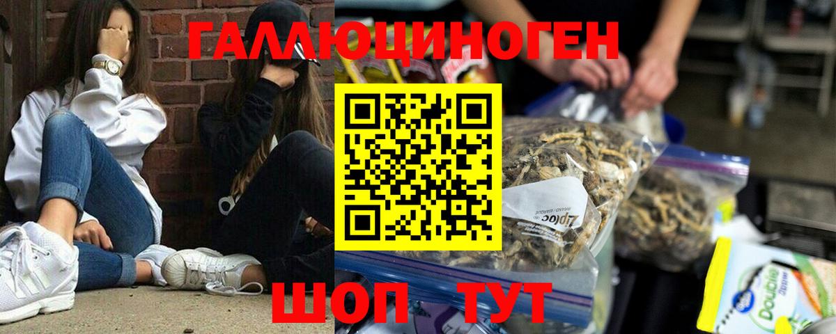 Псилоцибиновые грибы мухоморы Нефтекумск